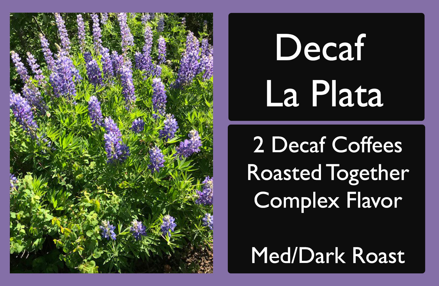 Picture of a bag of Decaf La Plata Coffee