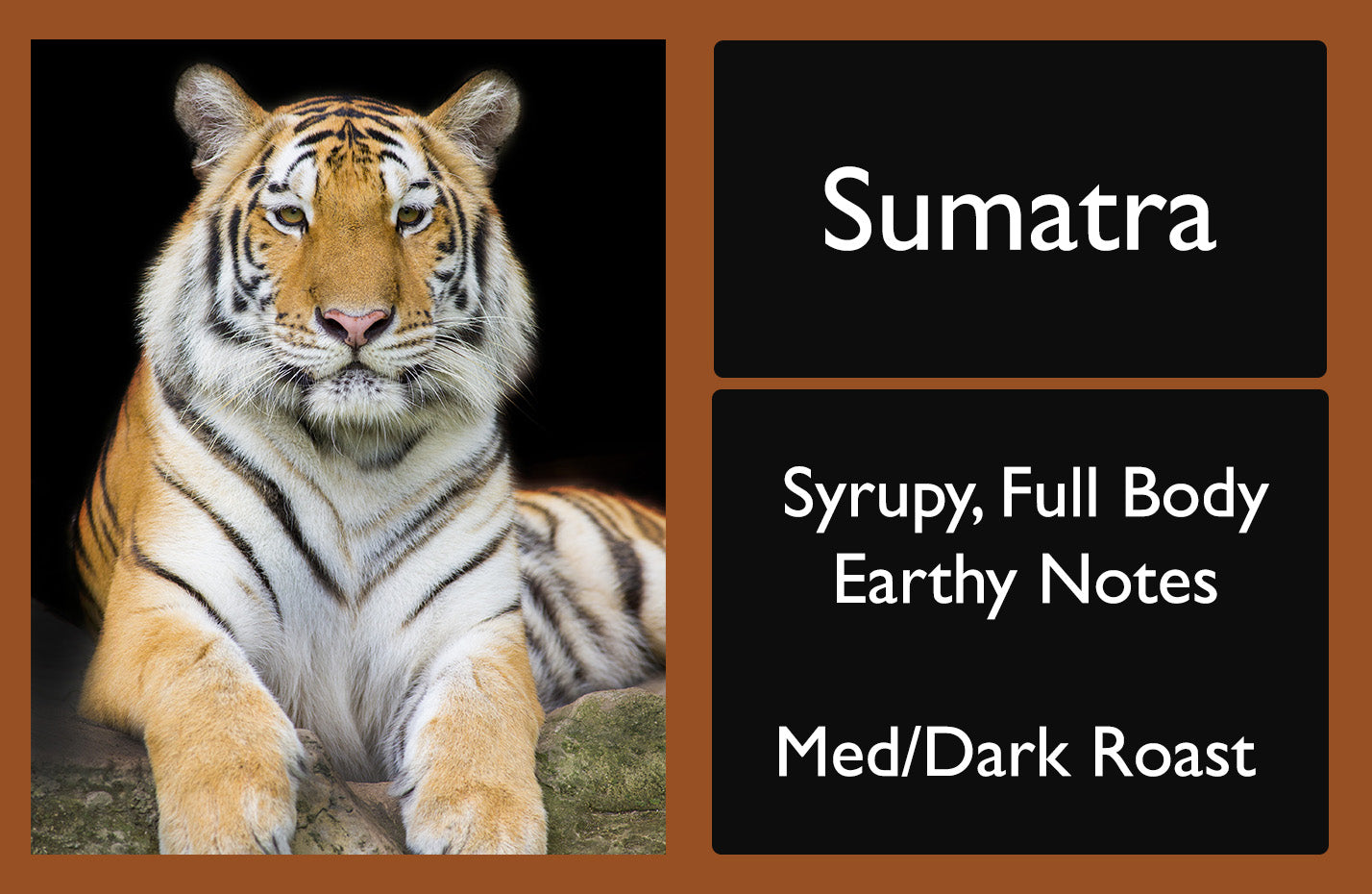 Picture of a bag of Sumatra Coffee
