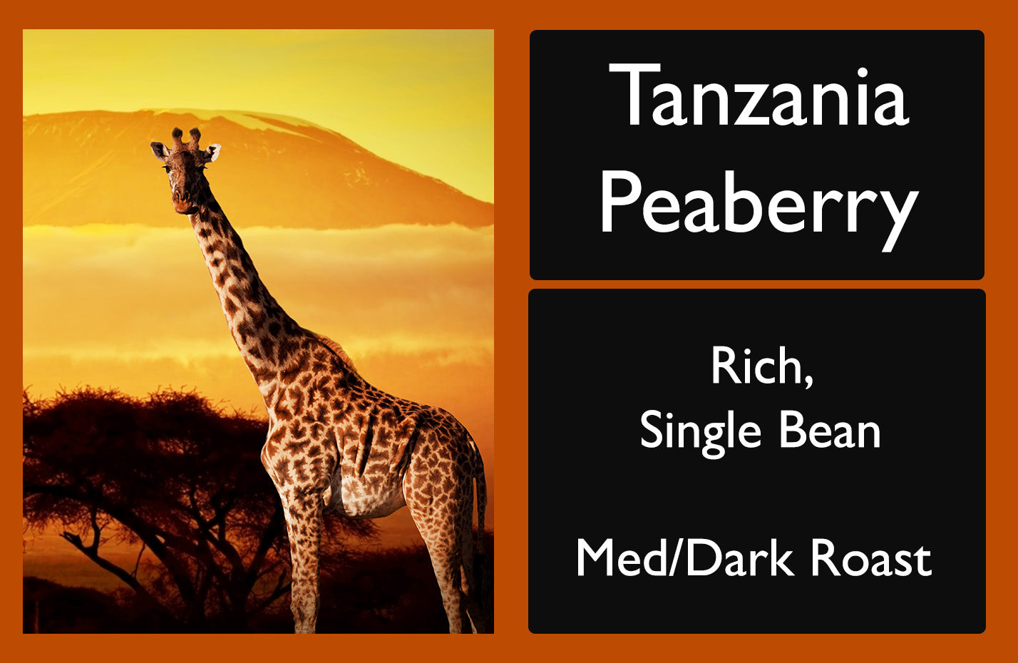 Picture of a bag of Tanzania Peaberry Coffee