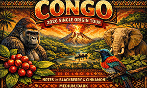 Congo Women Producers 2026 Single Origin Tour Feature