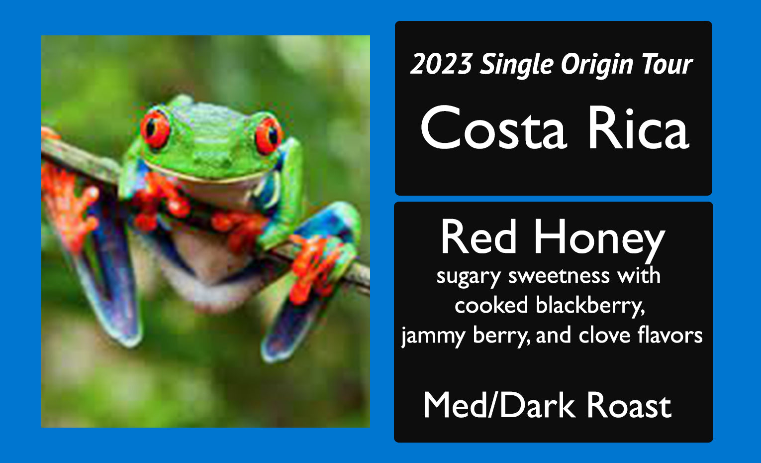 Costa Rica Red Honey 2023 Single Origin Tour Feature