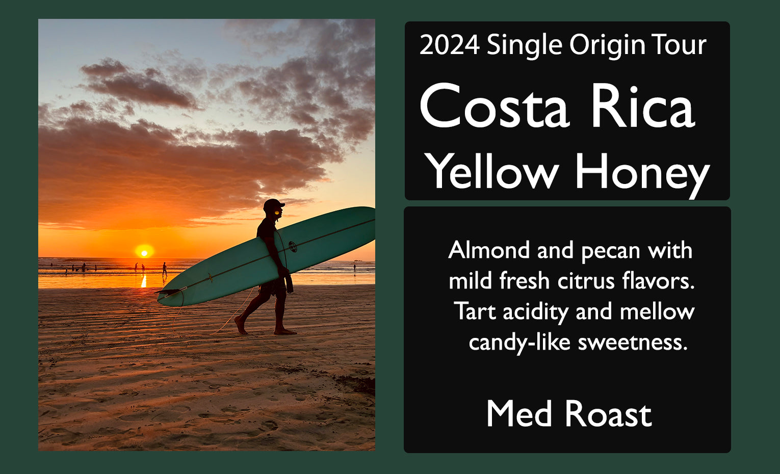 Costa Rica Yellow Honey 2024 Single Origin Tour Feature