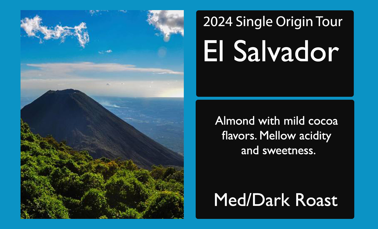 El Salvador2024 Single Origin Tour Feature