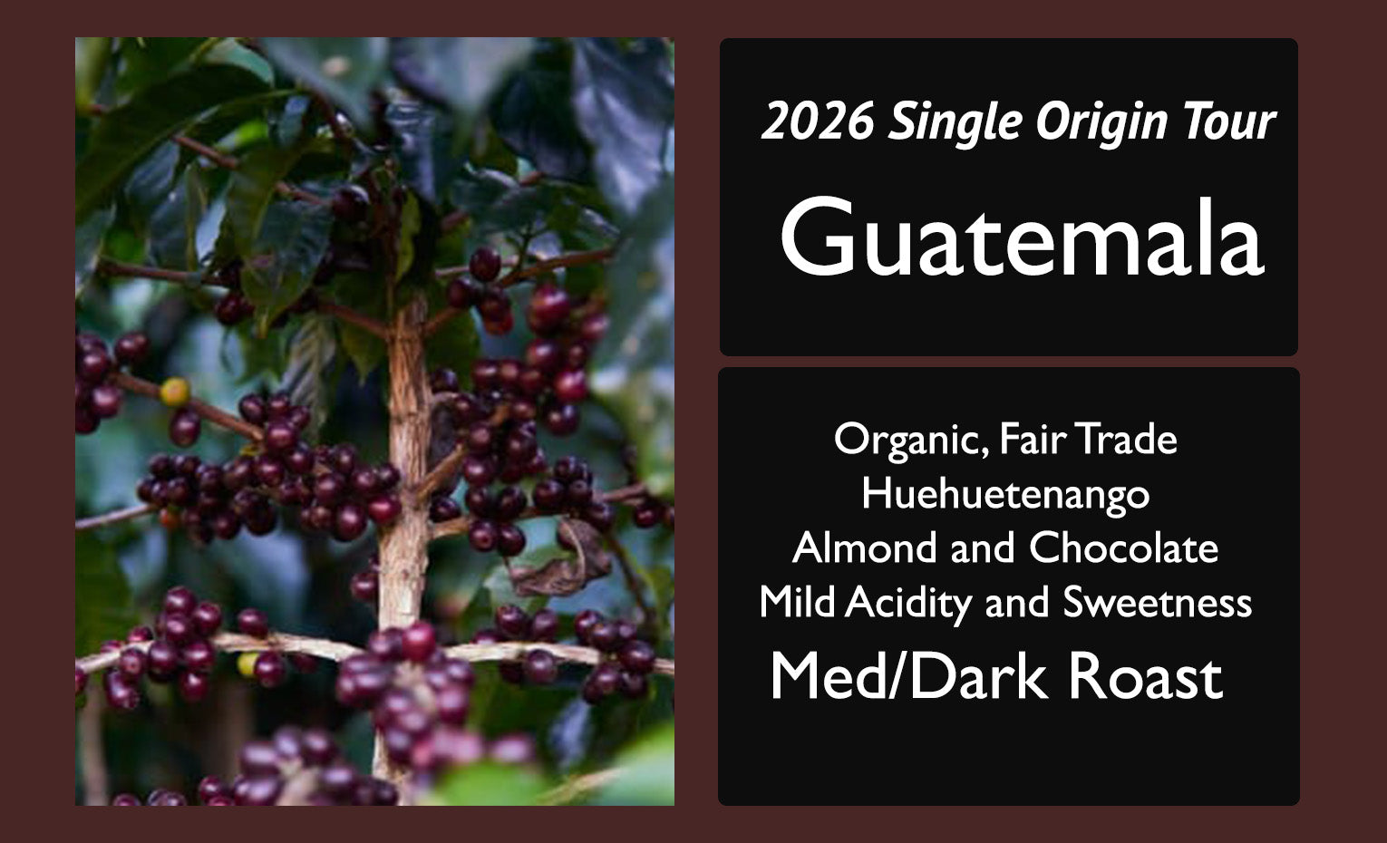 Guatemala Huehuetenango 2026 Single Origin Tour Feature | Medium/Dark Roast (Copy)