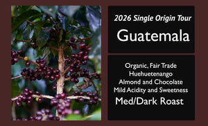Guatemala Huehuetenango 2026 Single Origin Tour Feature | Medium/Dark Roast (Copy)