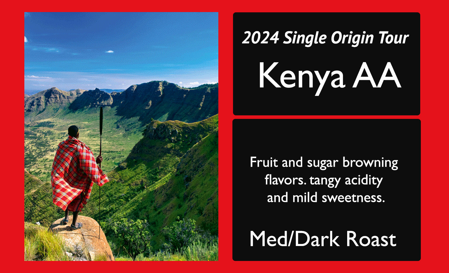 Kenya AA 2024 Single Origin Tour Feature
