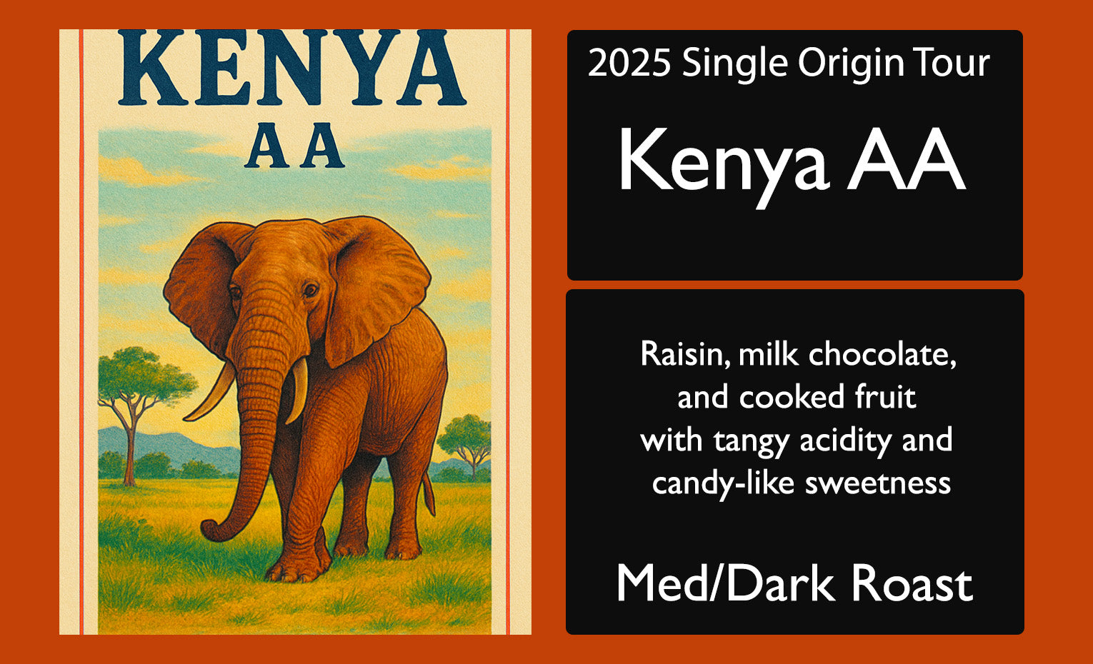 Kenya AA 2025 Single Origin Tour Feature